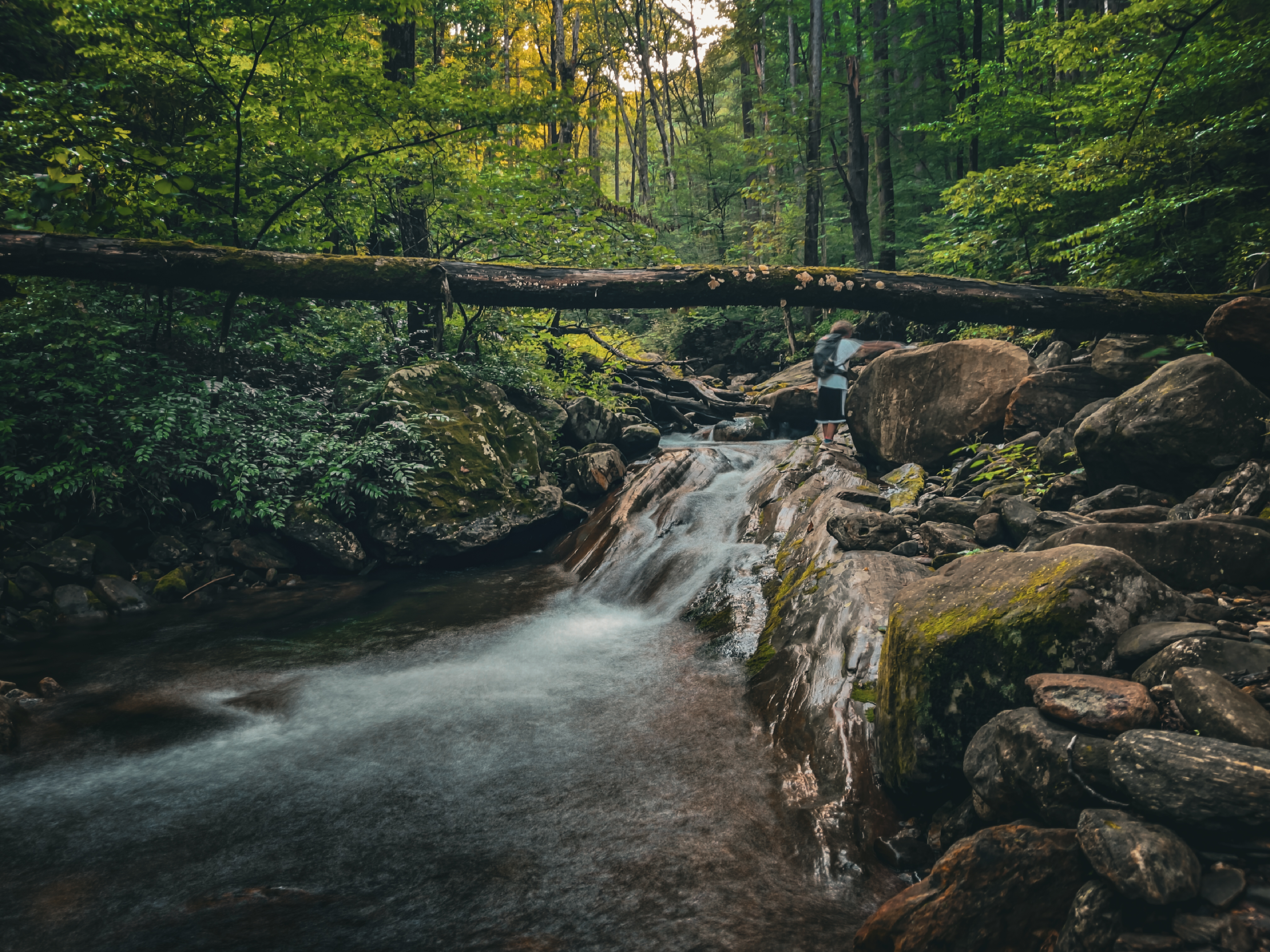 Daniel Ridge Loop Trail