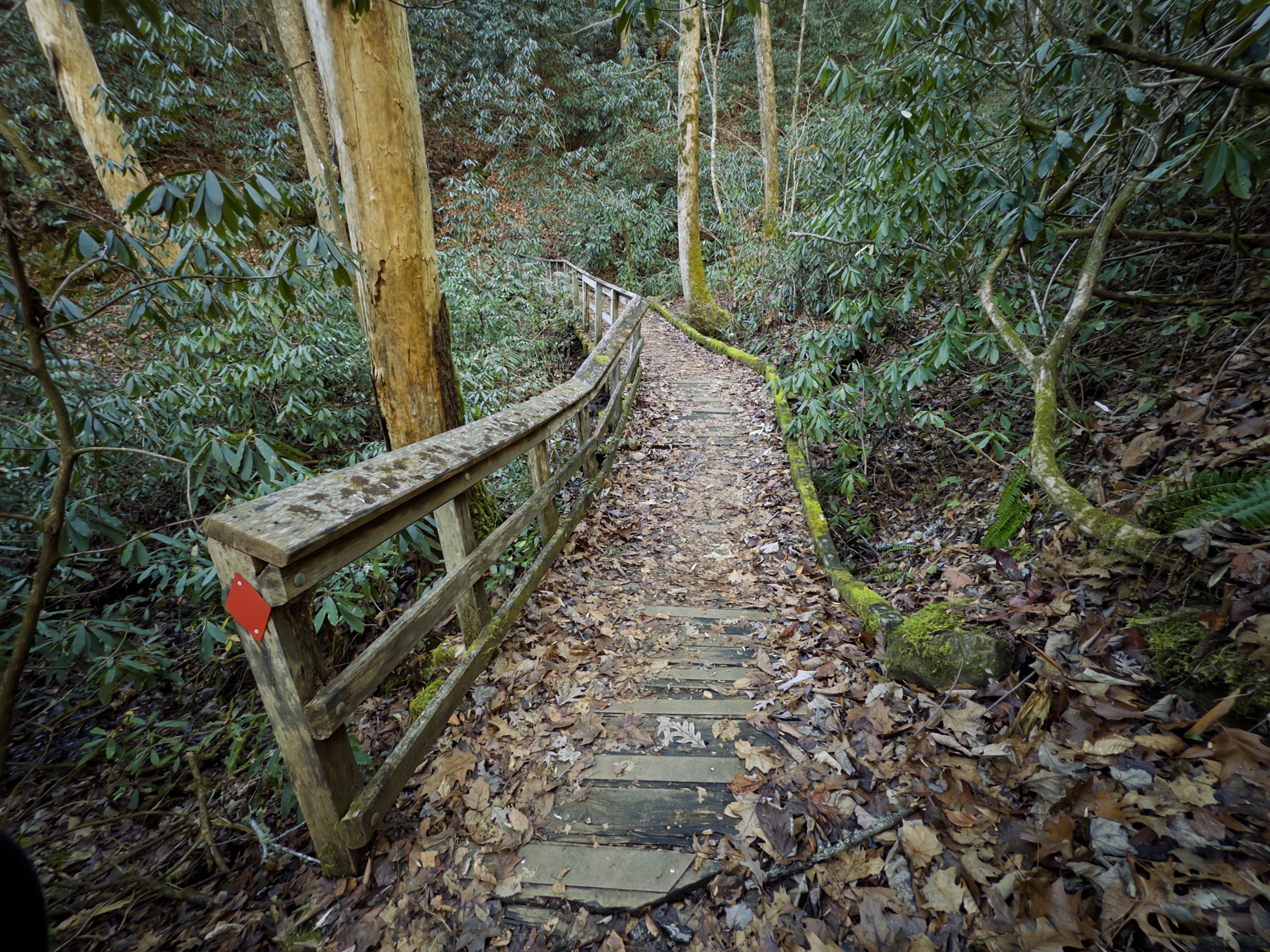 Maybe I’ve Found My Outdoor Gym!
